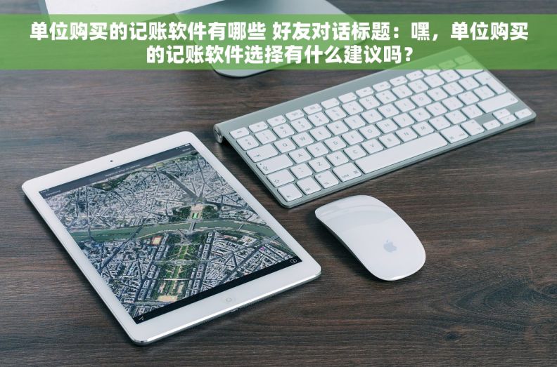 单位购买的记账软件有哪些 好友对话标题：嘿，单位购买的记账软件选择有什么建议吗？