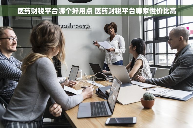 医药财税平台哪个好用点 医药财税平台哪家性价比高