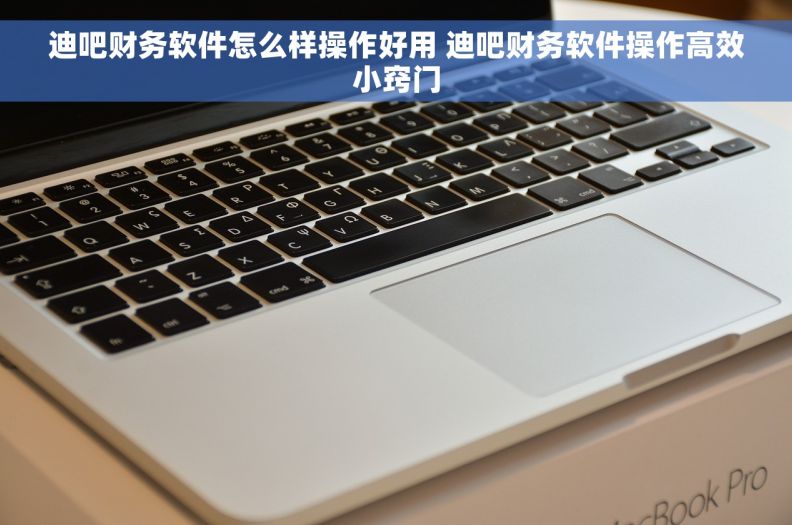 迪吧财务软件怎么样操作好用 迪吧财务软件操作高效小窍门