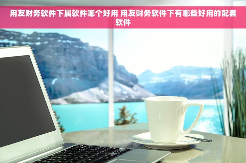 用友财务软件下属软件哪个好用 用友财务软件下有哪些好用的配套软件