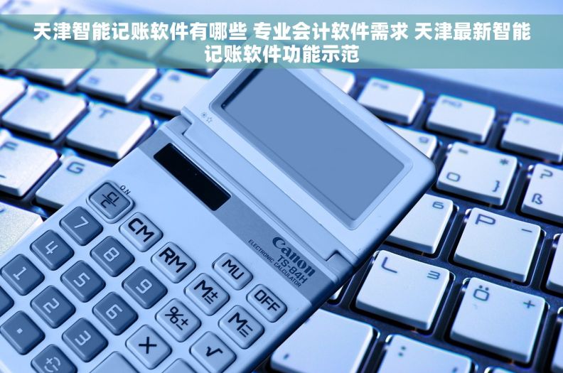 天津智能记账软件有哪些 专业会计软件需求 天津最新智能记账软件功能示范