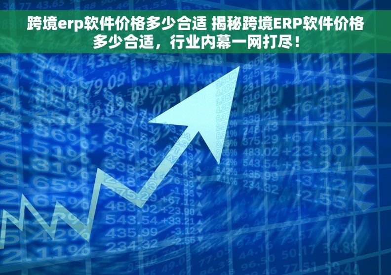 跨境erp软件价格多少合适 揭秘跨境ERP软件价格多少合适，行业内幕一网打尽！