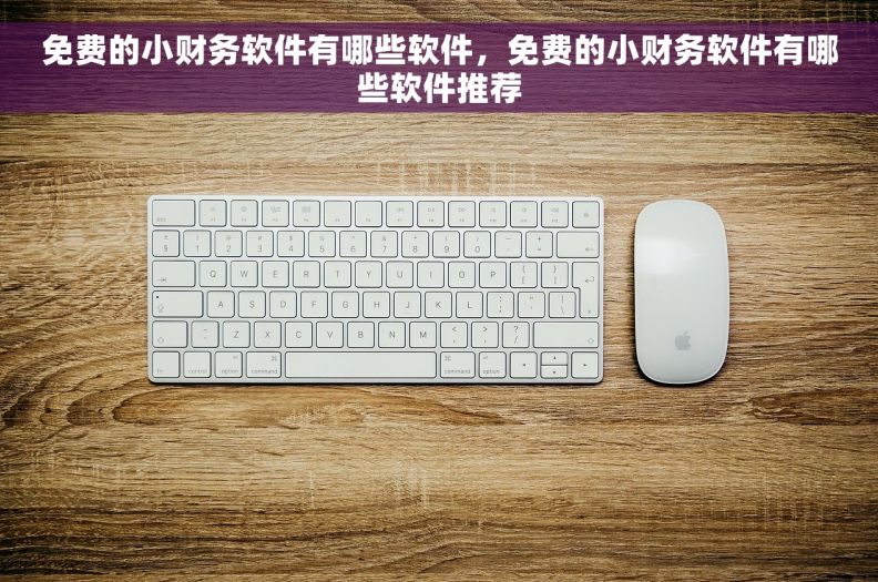 免费的小财务软件有哪些软件，免费的小财务软件有哪些软件推荐