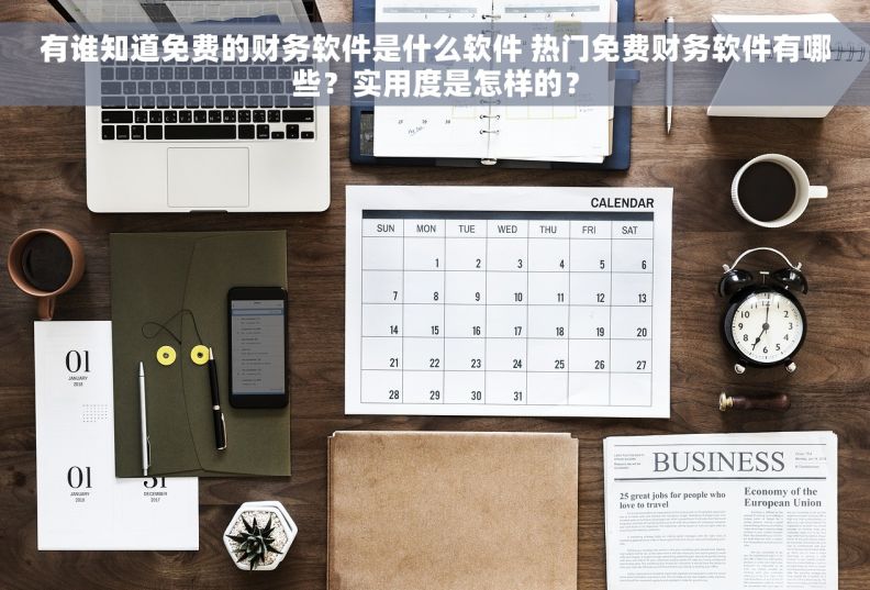 有谁知道免费的财务软件是什么软件 热门免费财务软件有哪些？实用度是怎样的？