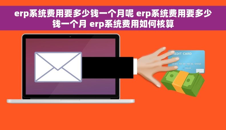 erp系统费用要多少钱一个月呢 erp系统费用要多少钱一个月 erp系统费用如何核算