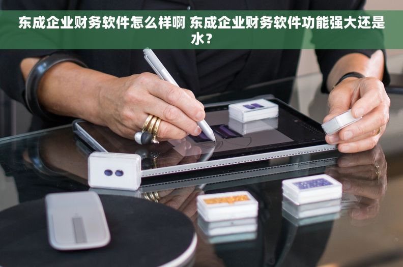 东成企业财务软件怎么样啊 东成企业财务软件功能强大还是水？