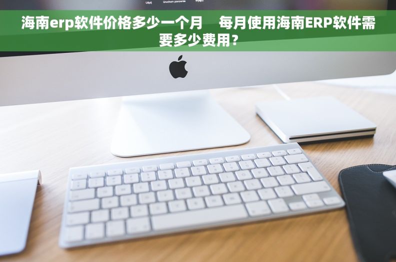 海南erp软件价格多少一个月    每月使用海南ERP软件需要多少费用？