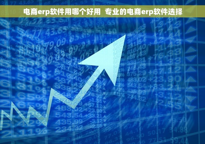 电商erp软件用哪个好用  专业的电商erp软件选择