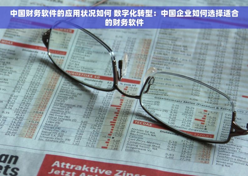 中国财务软件的应用状况如何 数字化转型：中国企业如何选择适合的财务软件