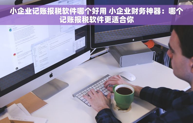 小企业记账报税软件哪个好用 小企业财务神器：哪个记账报税软件更适合你