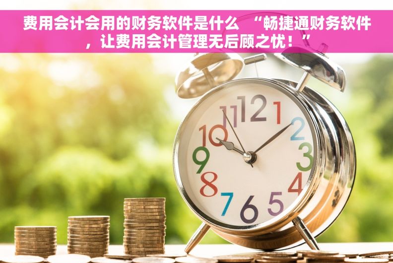 费用会计会用的财务软件是什么  “畅捷通财务软件，让费用会计管理无后顾之忧！”