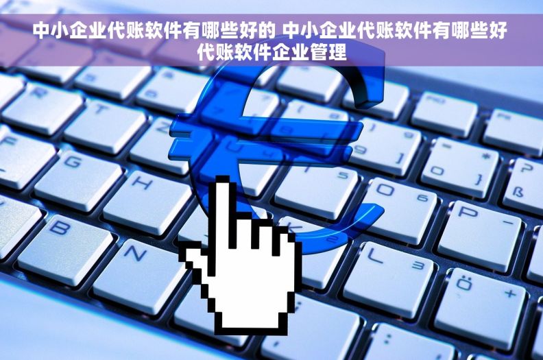 中小企业代账软件有哪些好的 中小企业代账软件有哪些好 代账软件企业管理