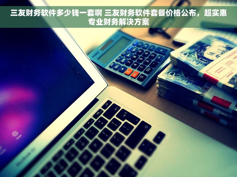 三友财务软件多少钱一套啊 三友财务软件套餐价格公布，超实惠专业财务解决方案