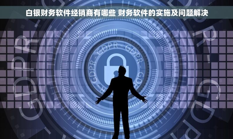 白银财务软件经销商有哪些 财务软件的实施及问题解决
