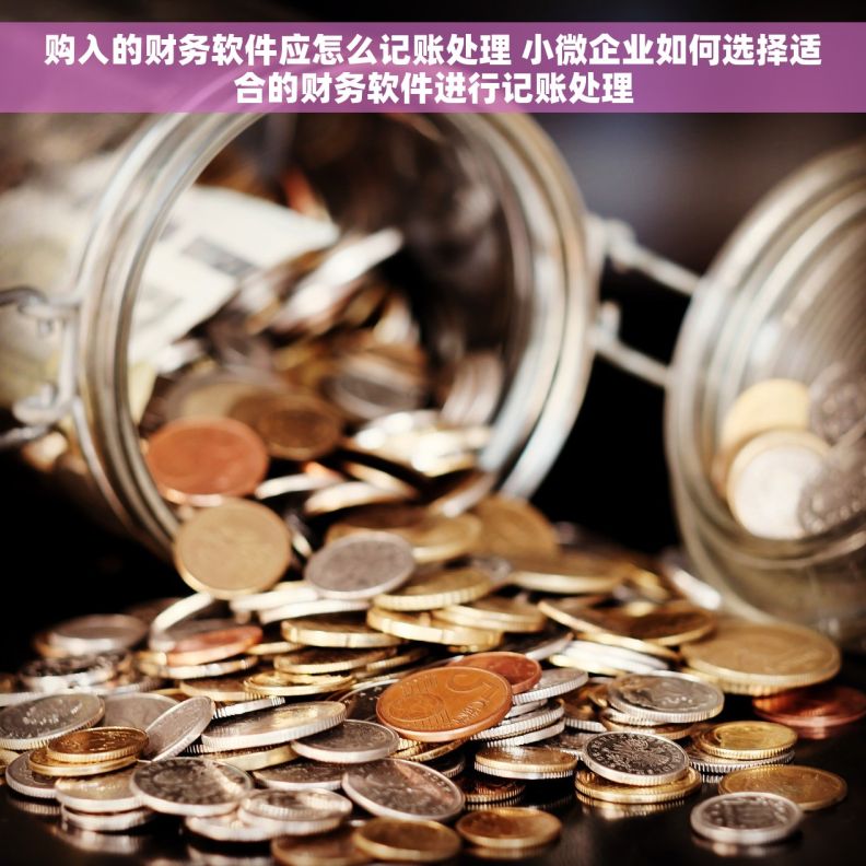 购入的财务软件应怎么记账处理 小微企业如何选择适合的财务软件进行记账处理