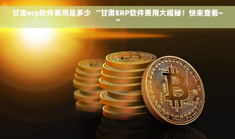 甘肃erp软件费用是多少 “甘肃ERP软件费用大揭秘！快来查看~”