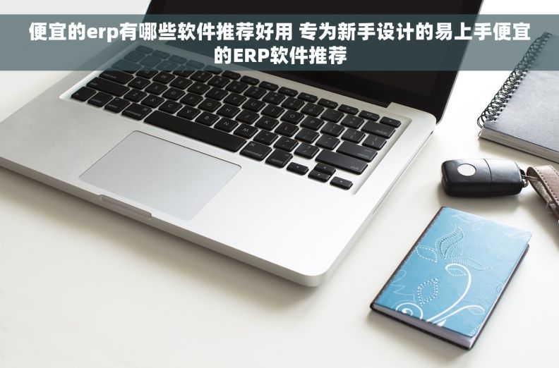 便宜的erp有哪些软件推荐好用 专为新手设计的易上手便宜的ERP软件推荐