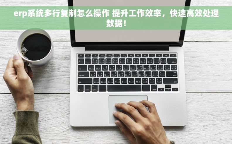 erp系统多行复制怎么操作 提升工作效率，快速高效处理数据！