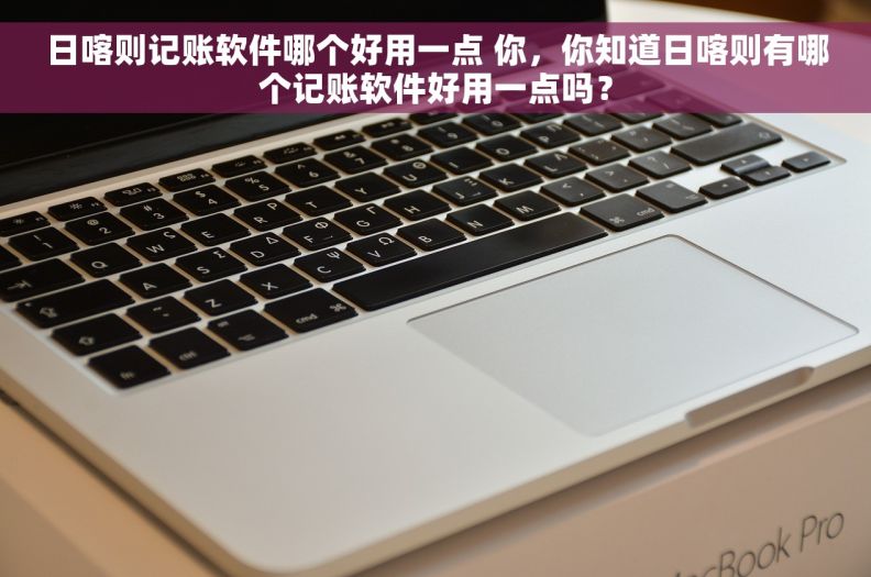 日喀则记账软件哪个好用一点 你，你知道日喀则有哪个记账软件好用一点吗？
