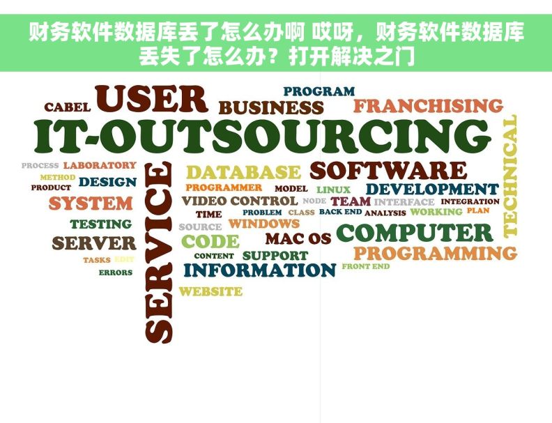 财务软件数据库丢了怎么办啊 哎呀，财务软件数据库丢失了怎么办？打开解决之门