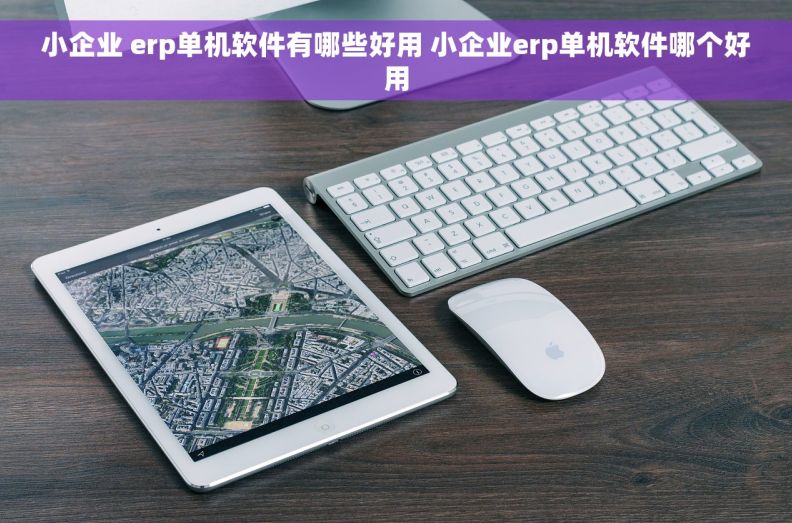 小企业 erp单机软件有哪些好用 小企业erp单机软件哪个好用