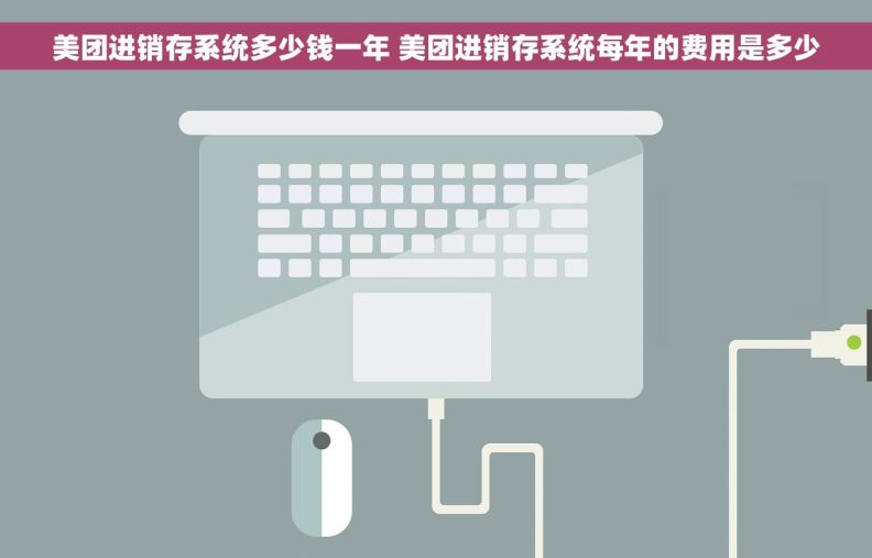 美团进销存系统多少钱一年 美团进销存系统每年的费用是多少