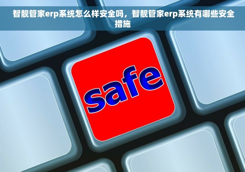  智靓管家erp系统怎么样安全吗，智靓管家erp系统有哪些安全措施