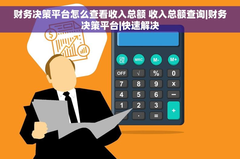 财务决策平台怎么查看收入总额 收入总额查询|财务决策平台|快速解决