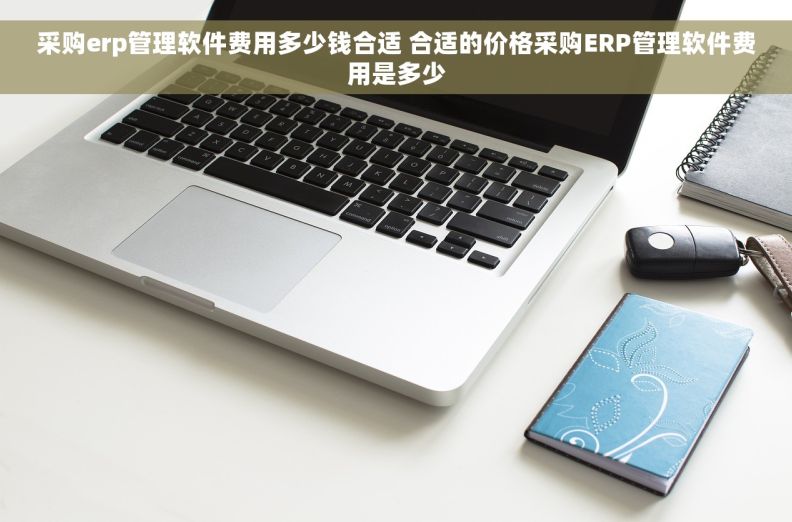 采购erp管理软件费用多少钱合适 合适的价格采购ERP管理软件费用是多少