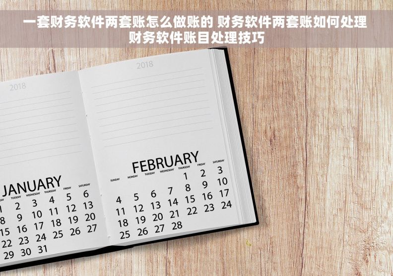 一套财务软件两套账怎么做账的 财务软件两套账如何处理 财务软件账目处理技巧