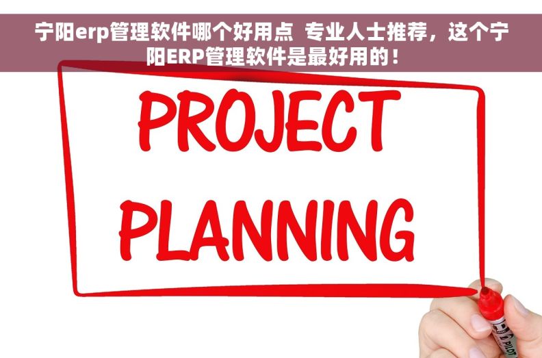宁阳erp管理软件哪个好用点  专业人士推荐，这个宁阳ERP管理软件是最好用的！