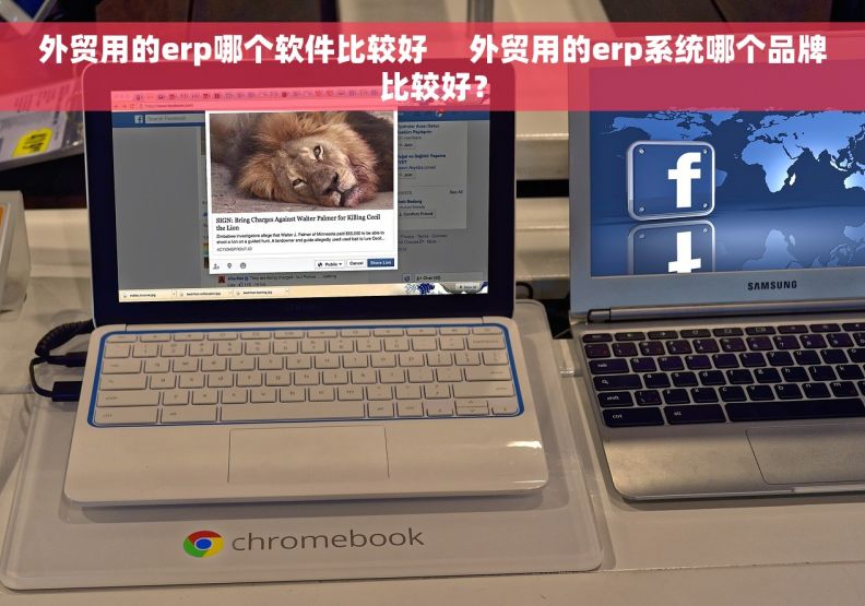 外贸用的erp哪个软件比较好     外贸用的erp系统哪个品牌比较好？