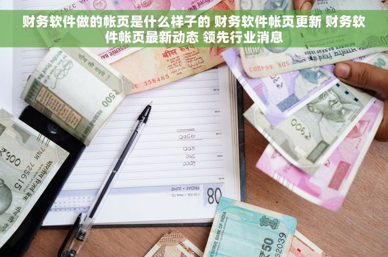 财务软件做的帐页是什么样子的 财务软件帐页更新 财务软件帐页最新动态 领先行业消息