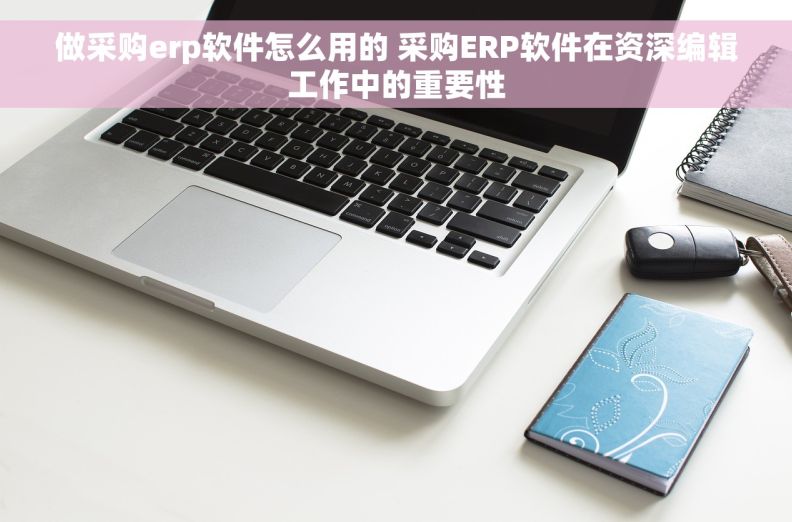 做采购erp软件怎么用的 采购ERP软件在资深编辑工作中的重要性
