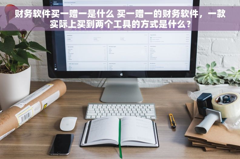财务软件买一赠一是什么 买一赠一的财务软件，一款实际上买到两个工具的方式是什么？