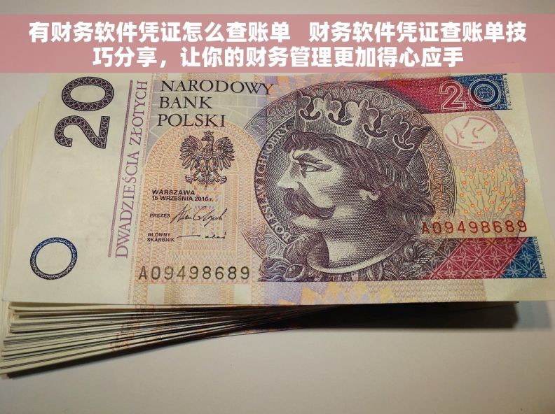 有财务软件凭证怎么查账单   财务软件凭证查账单技巧分享，让你的财务管理更加得心应手