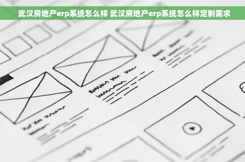   武汉房地产erp系统怎么样 武汉房地产erp系统怎么样定制需求
