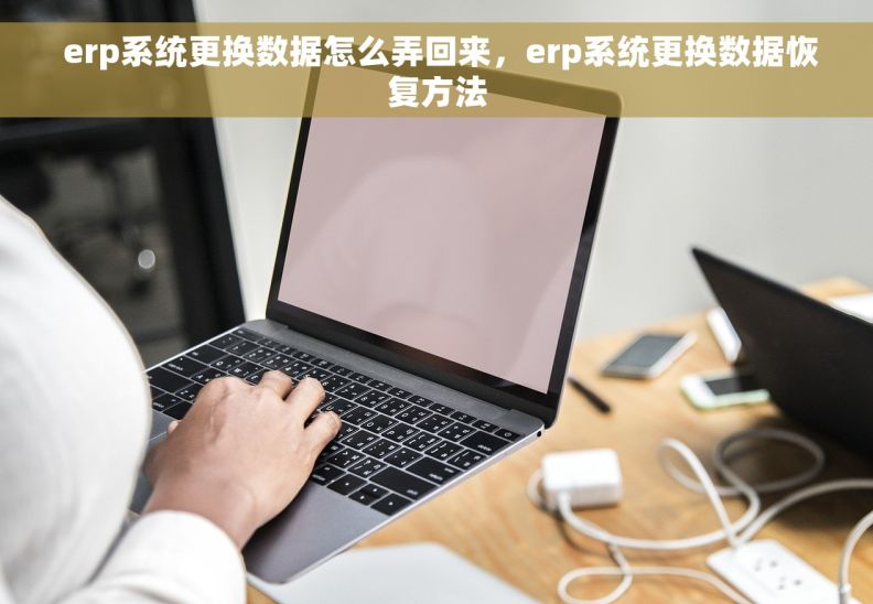  erp系统更换数据怎么弄回来，erp系统更换数据恢复方法