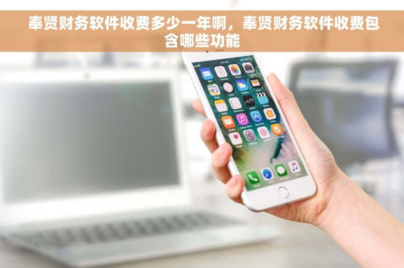  奉贤财务软件收费多少一年啊，奉贤财务软件收费包含哪些功能