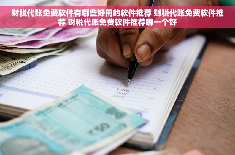 财税代账免费软件有哪些好用的软件推荐 财税代账免费软件推荐 财税代账免费软件推荐哪一个好
