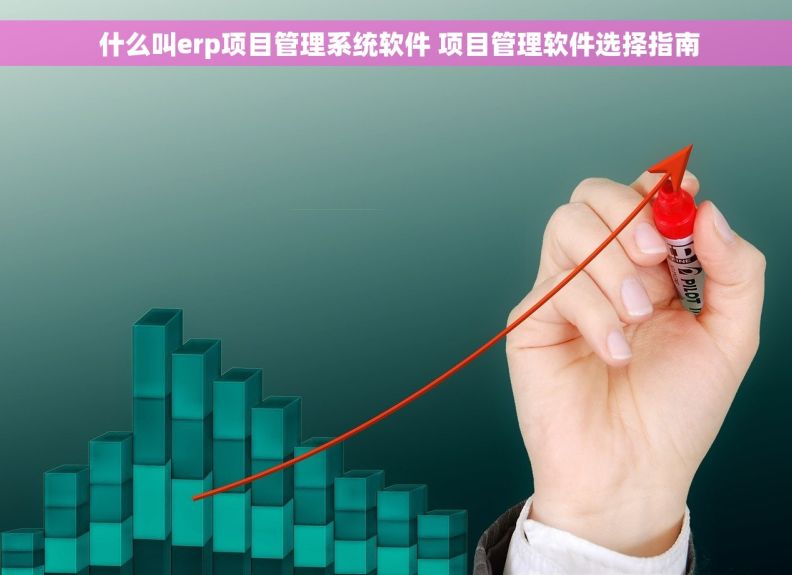  什么叫erp项目管理系统软件 项目管理软件选择指南