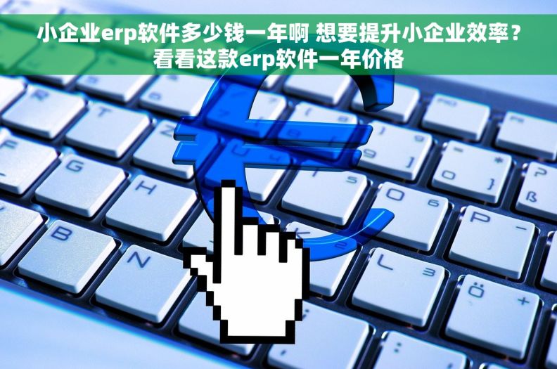 小企业erp软件多少钱一年啊 想要提升小企业效率？看看这款erp软件一年价格