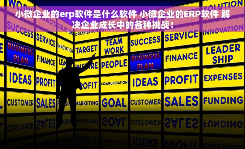 小微企业的erp软件是什么软件 小微企业的ERP软件 解决企业成长中的各种挑战！