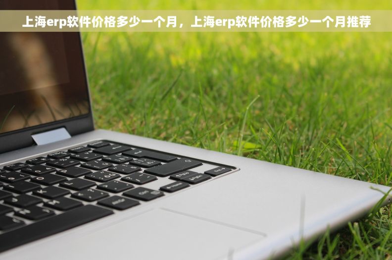 上海erp软件价格多少一个月，上海erp软件价格多少一个月推荐
