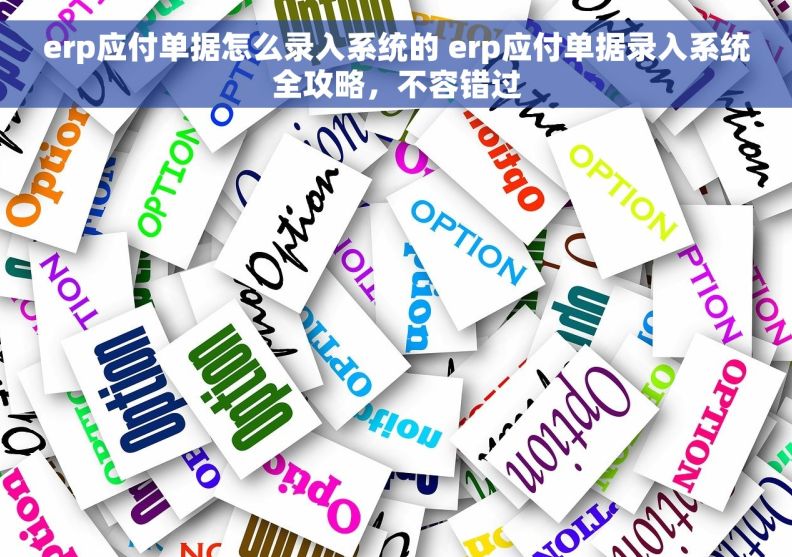 erp应付单据怎么录入系统的 erp应付单据录入系统全攻略，不容错过