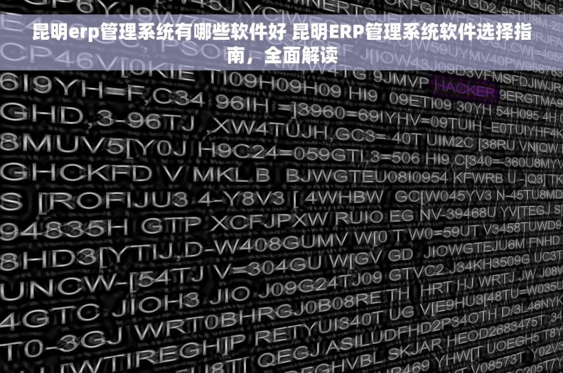 昆明erp管理系统有哪些软件好 昆明ERP管理系统软件选择指南，全面解读