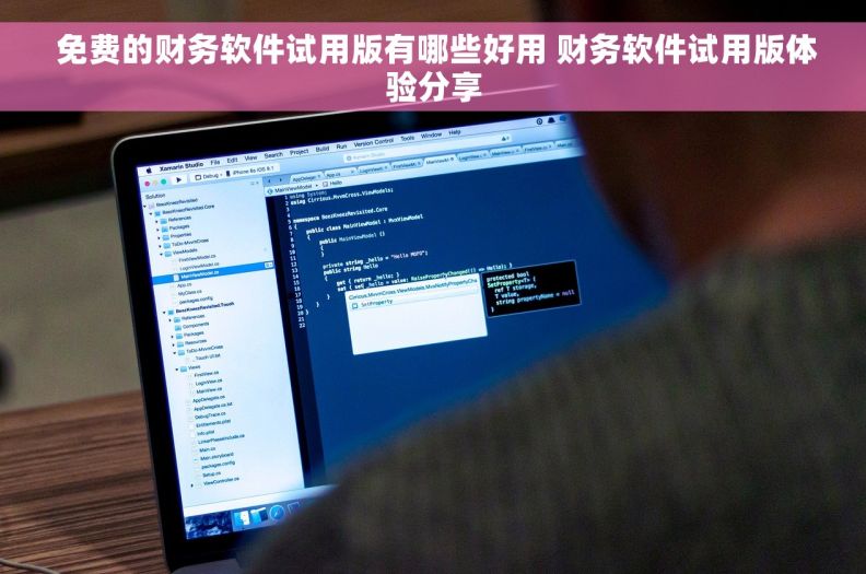  免费的财务软件试用版有哪些好用 财务软件试用版体验分享