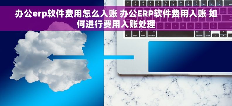 办公erp软件费用怎么入账 办公ERP软件费用入账 如何进行费用入账处理