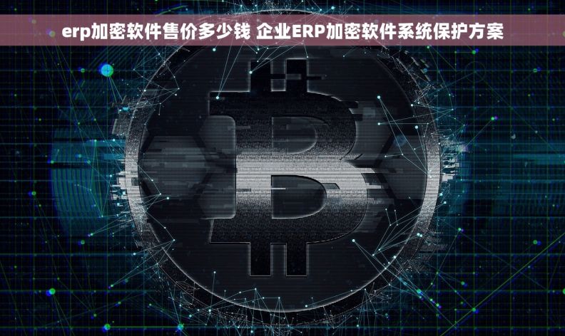 erp加密软件售价多少钱 企业ERP加密软件系统保护方案
