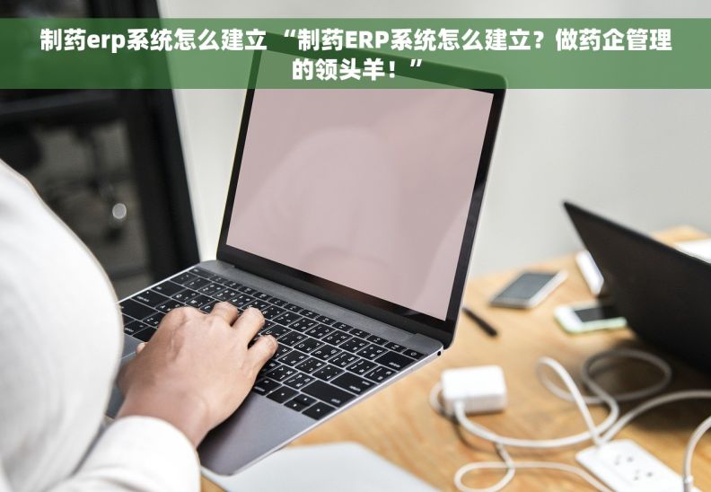 制药erp系统怎么建立 “制药ERP系统怎么建立？做药企管理的领头羊！”